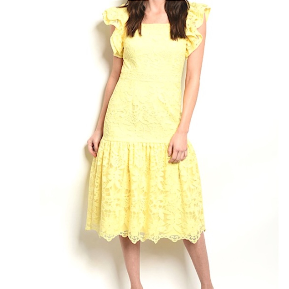 NWT Ruffle Flutter Drop Waist Floral Lace Midi Dress